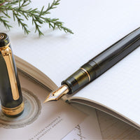 プロフェッショナルギア21金・シャンパーニュダークグリーン Fountain Pen - Wancher ワンチャー