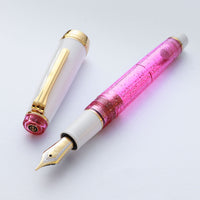 プロフェッショナルギア21金・ Pink Cosmo Fountain Pen - Wancher ワンチャー
