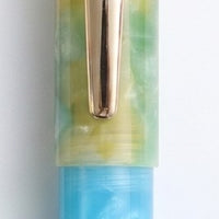 ミックスマッチPuChiCo!万年筆の日2026スペシャル Fountain Pen - Wancher ワンチャー