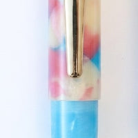 ミックスマッチPuChiCo!万年筆の日2026スペシャル Fountain Pen - Wancher ワンチャー