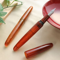 溜透かし・透明 アイビー Fountain Pen - Wancher ワンチャー