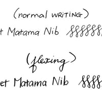 #6 ニブ・ワンチャー真玉ストリームニブ「 セミフレックスハード」 Nib - Wancher ワンチャー