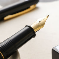 呉竹近代蒔絵万年筆 - 春色萬里 Fountain Pen - Wancher ワンチャー