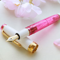 プロフェッショナルギア21金・ Pink Cosmo Fountain Pen - Wancher ワンチャー