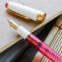 プロフェッショナルギア21金・ Pink Cosmo Fountain Pen - Wancher ワンチャー