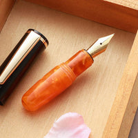 PuChiCo・ブラックチョコオレンジ Fountain Pen - Wancher ワンチャー