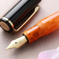 PuChiCo・ブラックチョコオレンジ Fountain Pen - Wancher ワンチャー