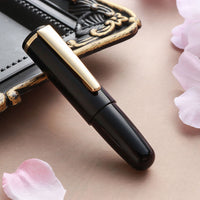 PuChiCo・ペンギンブラック Fountain Pen - Wancher ワンチャー