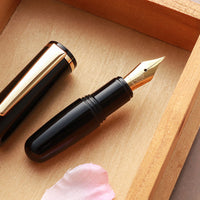 PuChiCo・ペンギンブラック Fountain Pen - Wancher ワンチャー