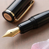 PuChiCo・ペンギンブラック Fountain Pen - Wancher ワンチャー