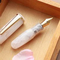 PuChiCo・ホワイトスノー Fountain Pen - Wancher ワンチャー