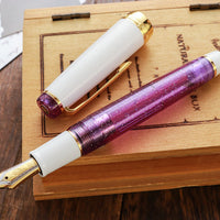 プロフェッショナルギア21金・ Purple Rain Fountain Pen - Wancher ワンチャー