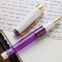 プロフェッショナルギア21金・ Purple Rain Fountain Pen - Wancher ワンチャー