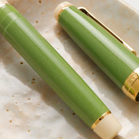 Sailor Pro Gear -Green Fountain Pen