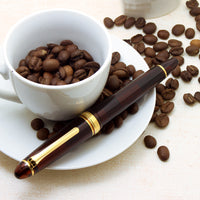 プロフィット21SDモカブラウン Fountain Pen - Wancher ワンチャー