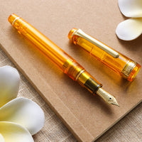 プロフェッショナルギアスリム14金・琥珀色 Fountain Pen - Wancher ワンチャー