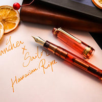 プロフェッショナルギア21金ハワイアンライプ Fountain Pen - Wancher ワンチャー