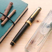 プロフェッショナルギア21金シャンパーニュダークグリーン Fountain Pen - Wancher ワンチャー