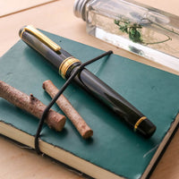 プロフェッショナルギア21金シャンパーニュダークグリーン Fountain Pen - Wancher ワンチャー