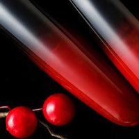 暈し塗り・日食 Fountain Pen - Wancher ワンチャー