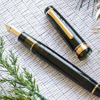 プロフェッショナルギア21金・シャンパーニュダークグリーン Fountain Pen - Wancher ワンチャー