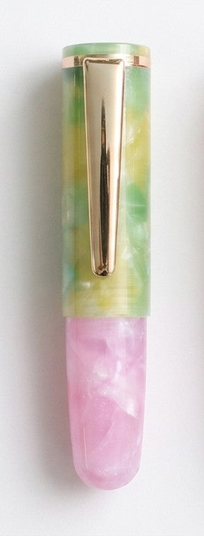 ミックスマッチPuChiCo！万年筆の日2026スペシャル Fountain Pen - Wancher ワンチャー
