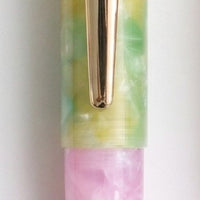 ミックスマッチPuChiCo！万年筆の日2026スペシャル Fountain Pen - Wancher ワンチャー