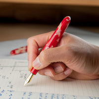 ドリームペン・セルロイド金魚 Fountain Pen - Wancher ワンチャー