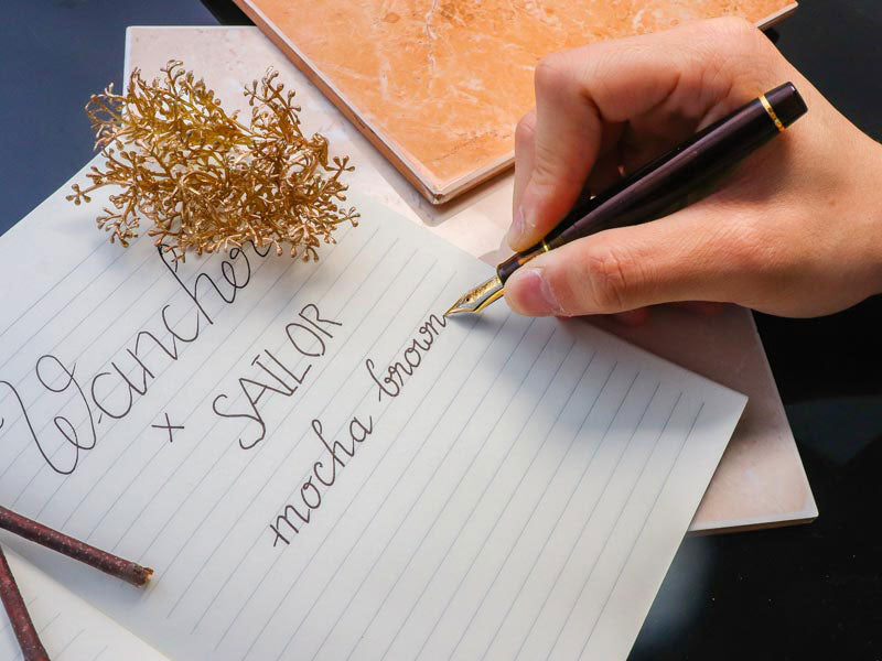 プロフェッショナルギア21金・モカブラウン Fountain Pen | ワンチャー